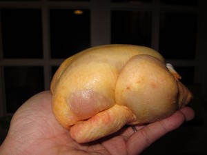 Okay, so it's a poussin, not a stew chicken. But it's about the same size. Source: http://bit.ly/1tnAd3A