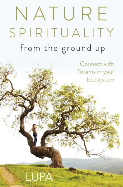 Nature Spirituality From Ground Up-600